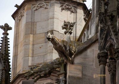 Heilig-Kreuz-Münster Schwäbisch Gmünd 0128
