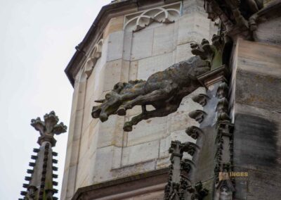 Heilig-Kreuz-Münster Schwäbisch Gmünd 0132