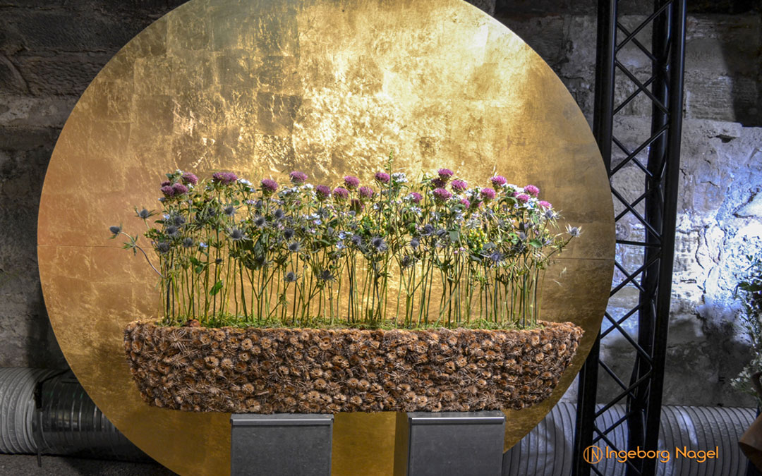 Schorndorf Remstalgartenschau 2019 Blumenschau Heilpflanzen