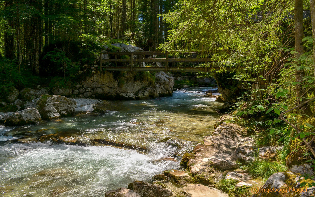 Zauberwald bei Ramsau