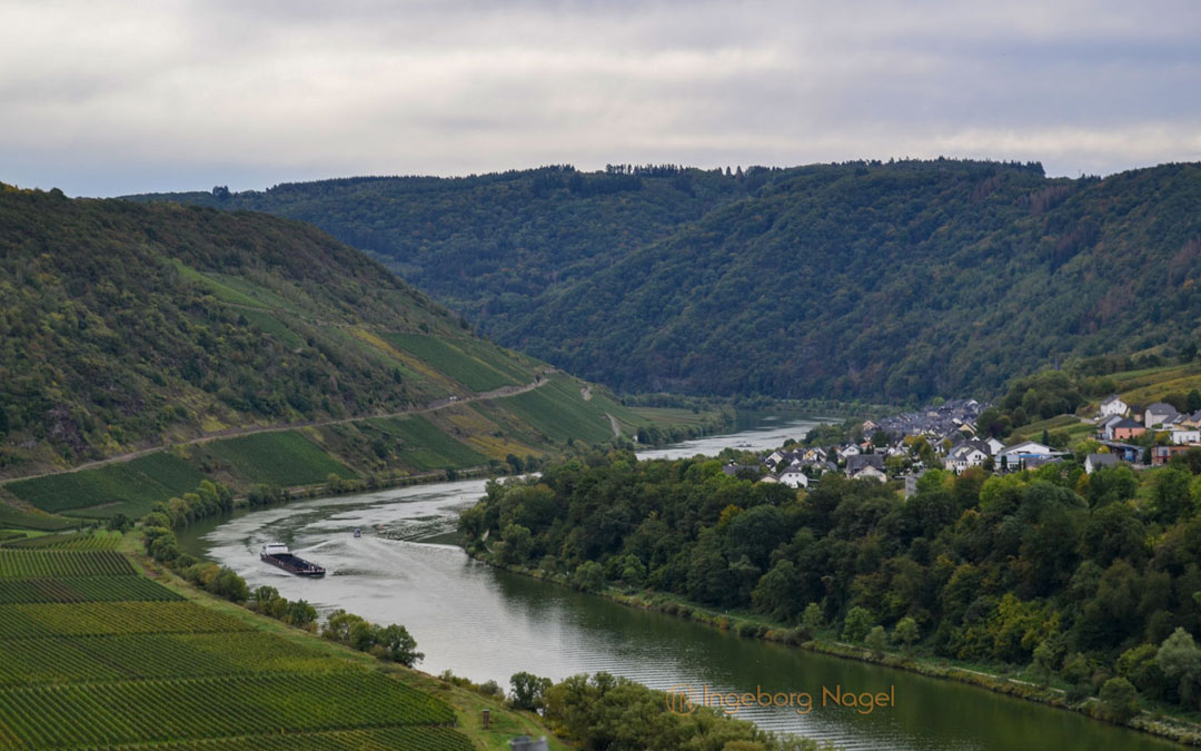 Briedel an der Mosel