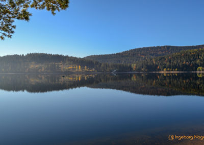 Der Schluchsee im Schwarzwald 3 Schluchsee