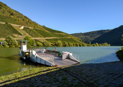 Briedel an der Mosel 7 Briedel an der Mosel