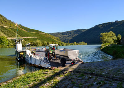Briedel an der Mosel 8 Briedel an der Mosel