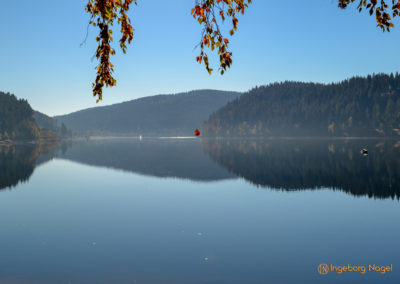 Der Schluchsee im Schwarzwald 4 Schluchsee