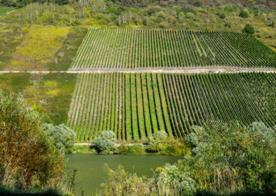 Briedel an der Mosel 6 Briedel an der Mosel