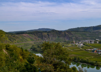 Reiler Hals an der Mosel