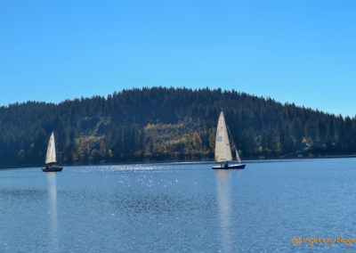 Der Schluchsee im Schwarzwald 14 Schluchsee