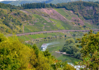Reiler Hals an der Mosel