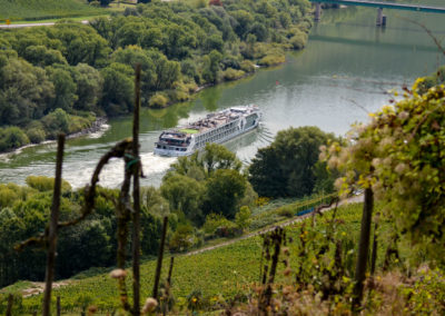 Reiler Hals an der Mosel