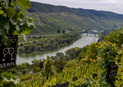 Reiler Hals an der Mosel