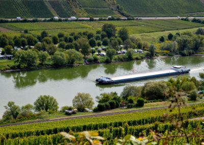 Reiler Hals an der Mosel