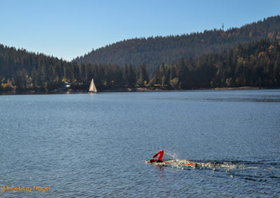 Der Schluchsee im Schwarzwald 16 Schluchsee