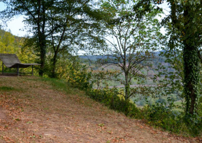 Reiler Hals an der Mosel