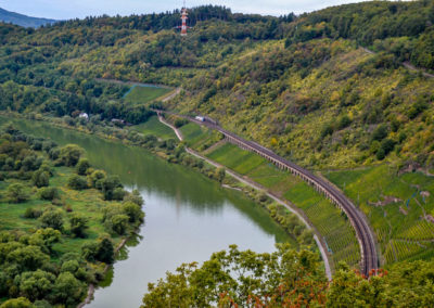 Reiler Hals an der Mosel