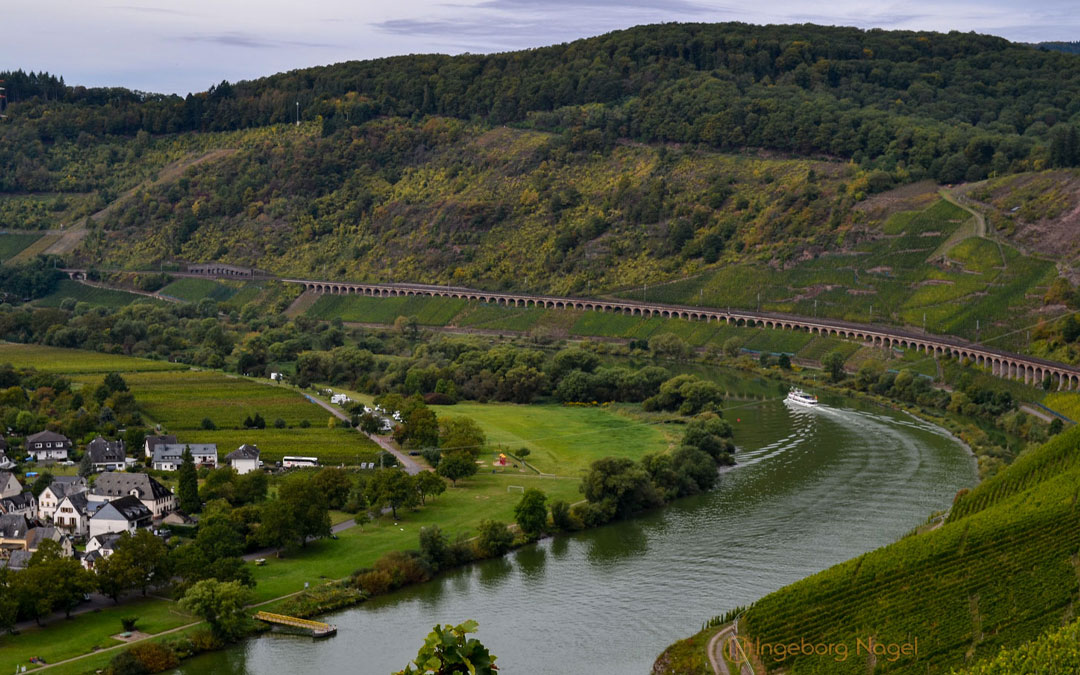 Reiler Hals an der Mosel