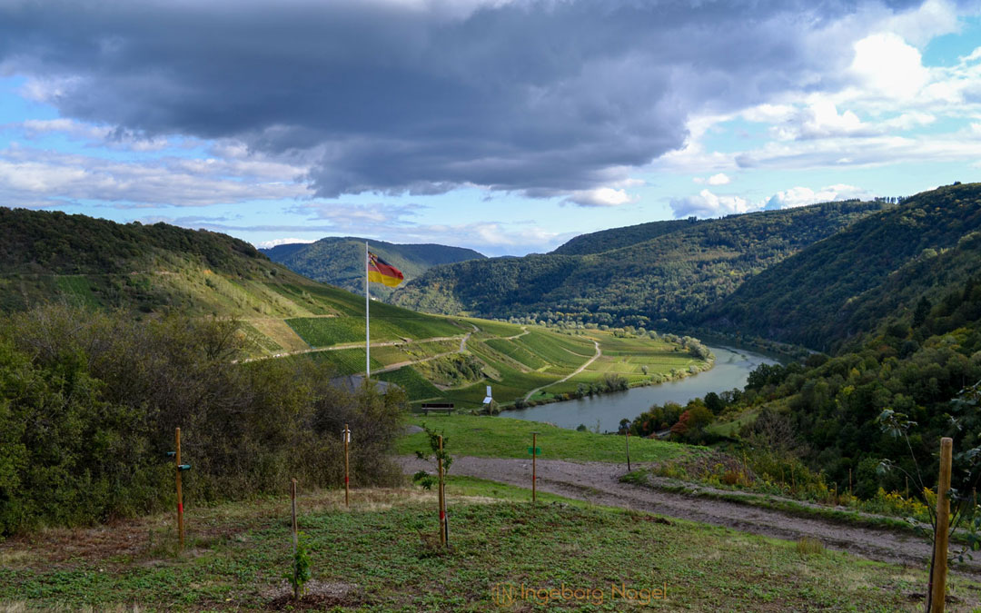Weinberge über Briedel