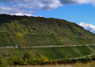 Weinbau an der Mosel 2 Weinberge in Briedel