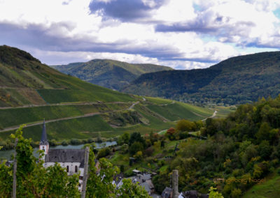 Weinbau an der Mosel 4 Weinberge in Briedel