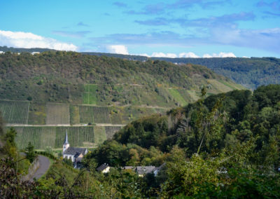 Weinbau an der Mosel 5 Weinberge in Briedel