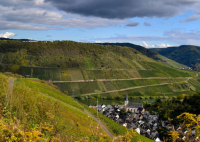 Weinbau an der Mosel 6 Weinberge in Briedel