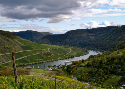 Weinbau an der Mosel 7 Weinberge in Briedel