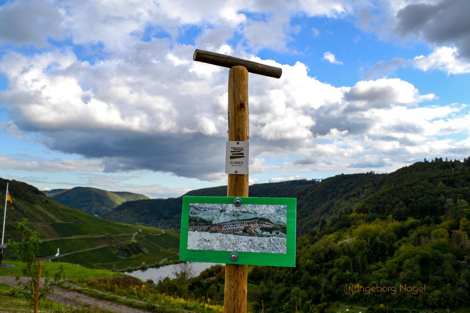 Birgits Herzensprojekt an der Mosel 7 DSC_0136