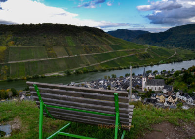 Weinbau an der Mosel 26 Weinberge Briedel