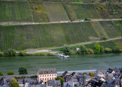 Weinbau an der Mosel 27 Weinberge Briedel