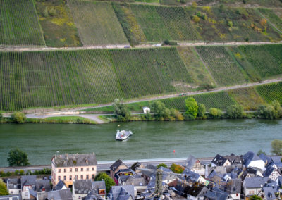 Weinbau an der Mosel 28 Weinberge Briedel
