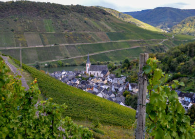 Weinbau an der Mosel 8 Weinberge in Briedel