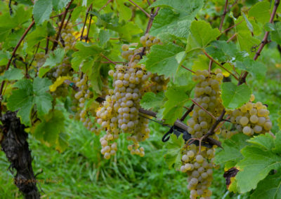 Kloster Stuben 7 Kloster Stuben