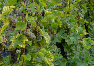 Kloster Stuben 8 Kloster Stuben