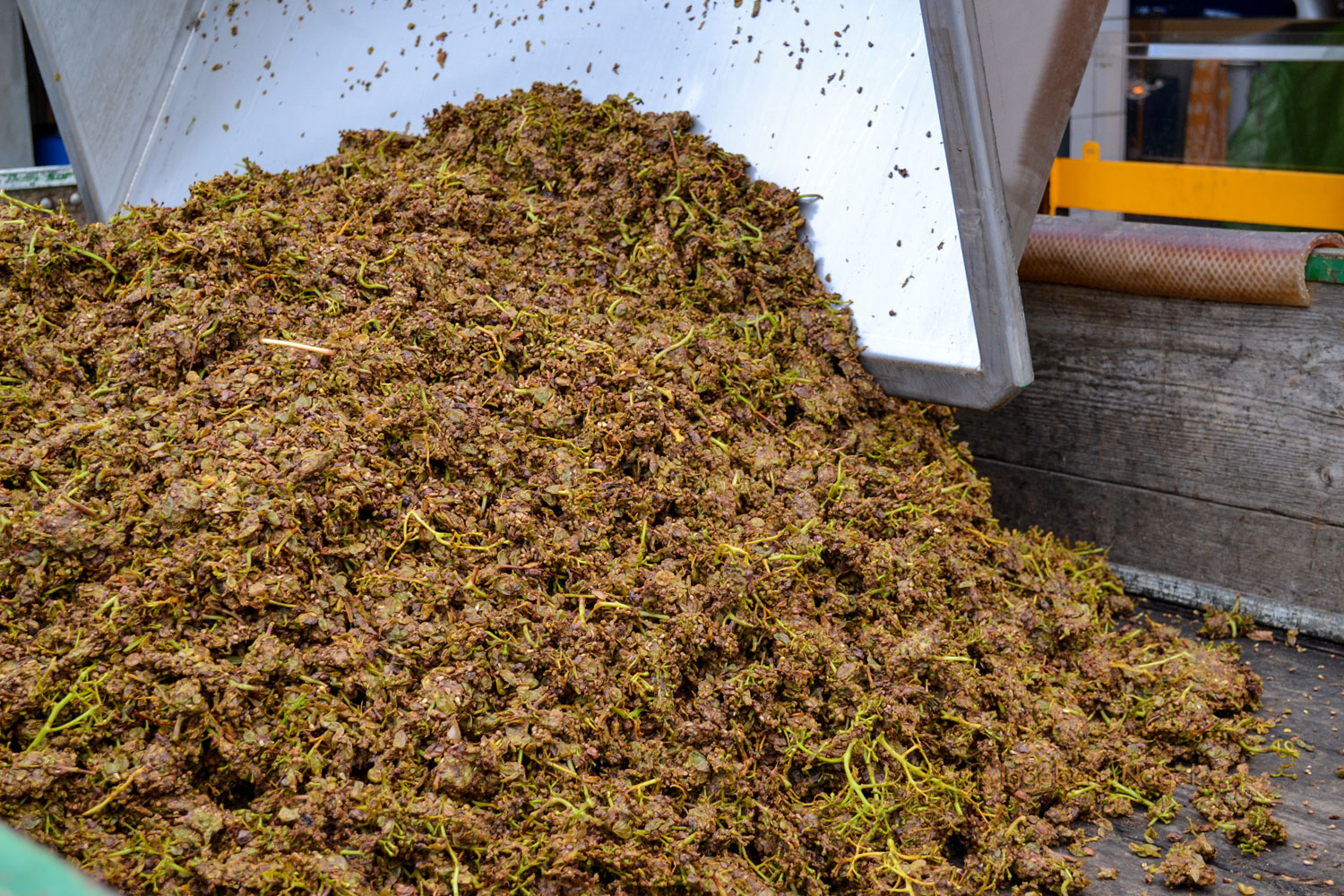 Hinter den Kulissen eines Winzerbetriebs 2 DSC_0225