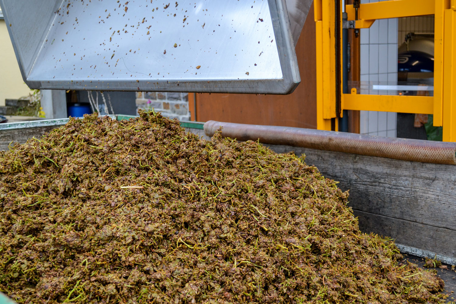 Hinter den Kulissen eines Winzerbetriebs 3 DSC_0228