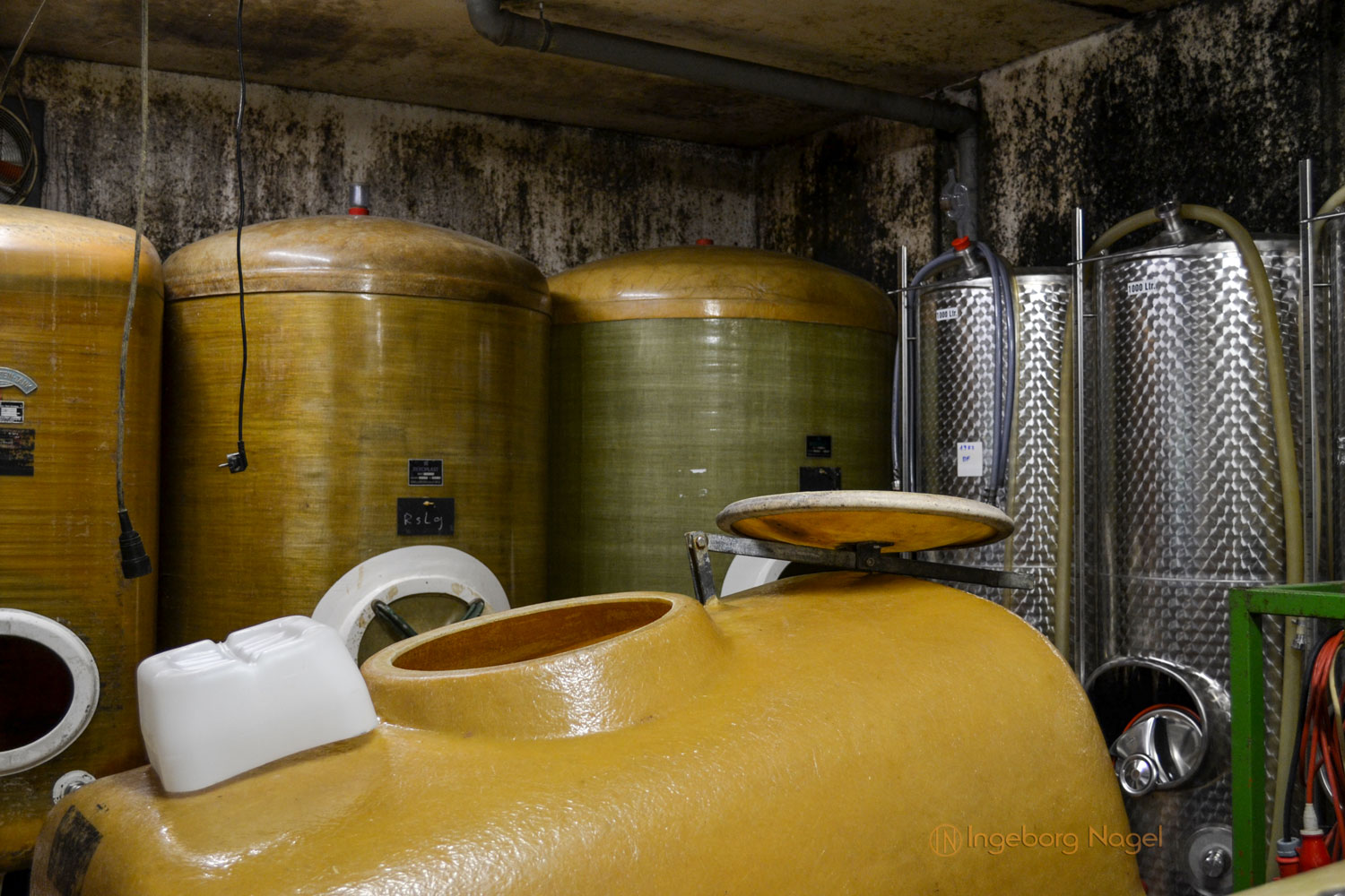 Hinter den Kulissen eines Winzerbetriebs 5 DSC_0233