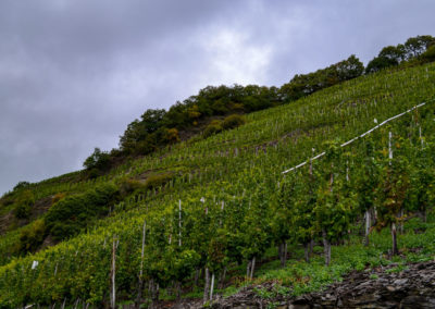 Kloster Stuben 9 Kloster Stuben