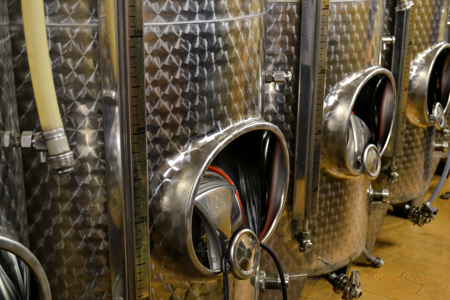 Hinter den Kulissen eines Winzerbetriebs 6 DSC_0243