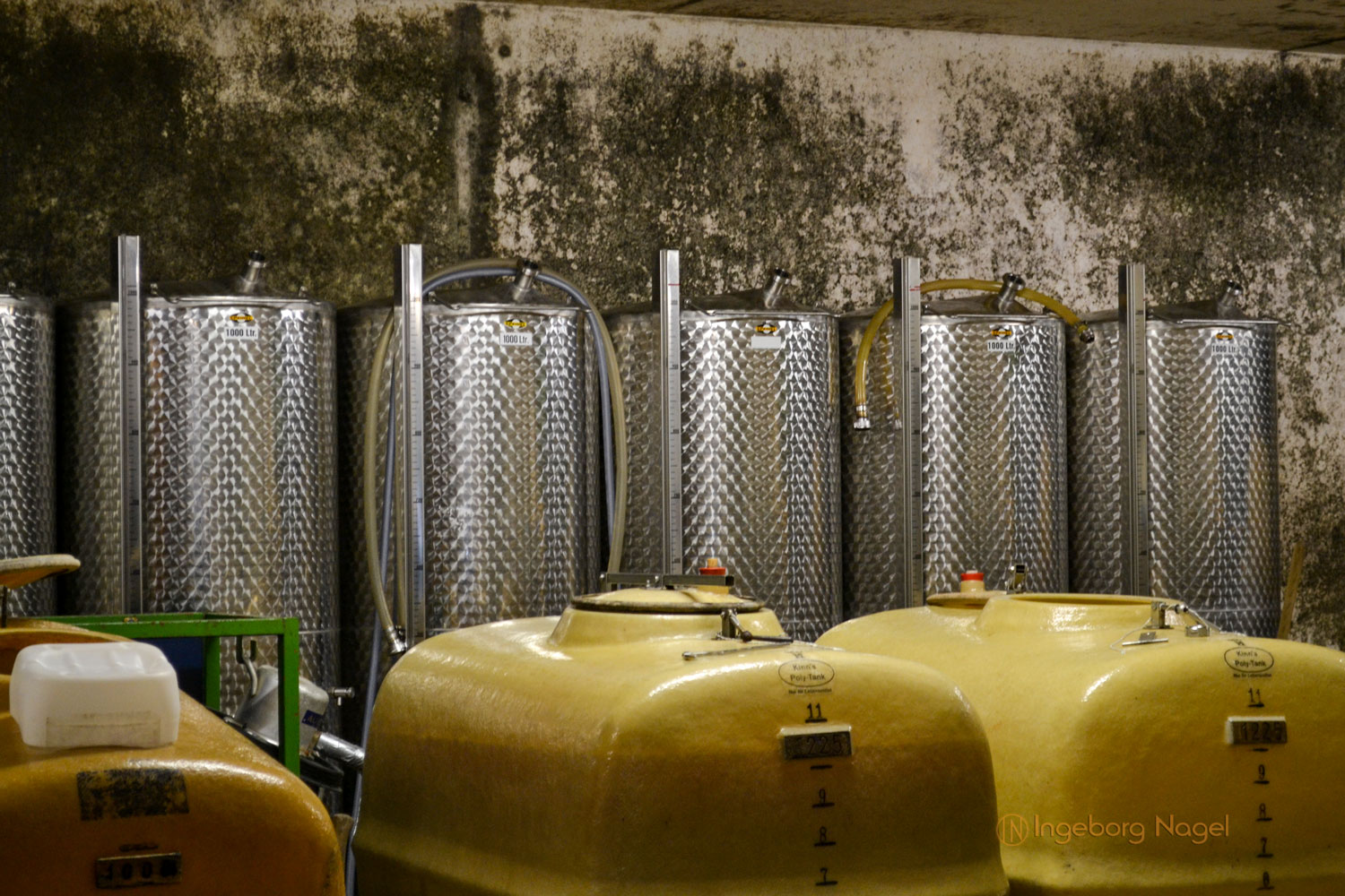 Hinter den Kulissen eines Winzerbetriebs 4 DSC_0247