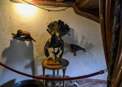 Die Reichsburg in Cochem - Burgführung 20 Reichsburg Cochem