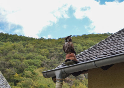 Beilstein an der Mosel