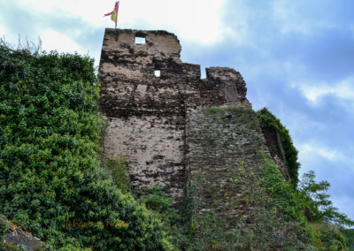 Burg Metternich an der Mosel 18 Burg Metternich über Beilstein an der Mosel