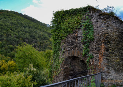 Burg Metternich an der Mosel 22 Burg Metternich über Beilstein an der Mosel