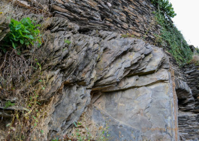 Burg Metternich an der Mosel 25 Burg Metternich über Beilstein an der Mosel