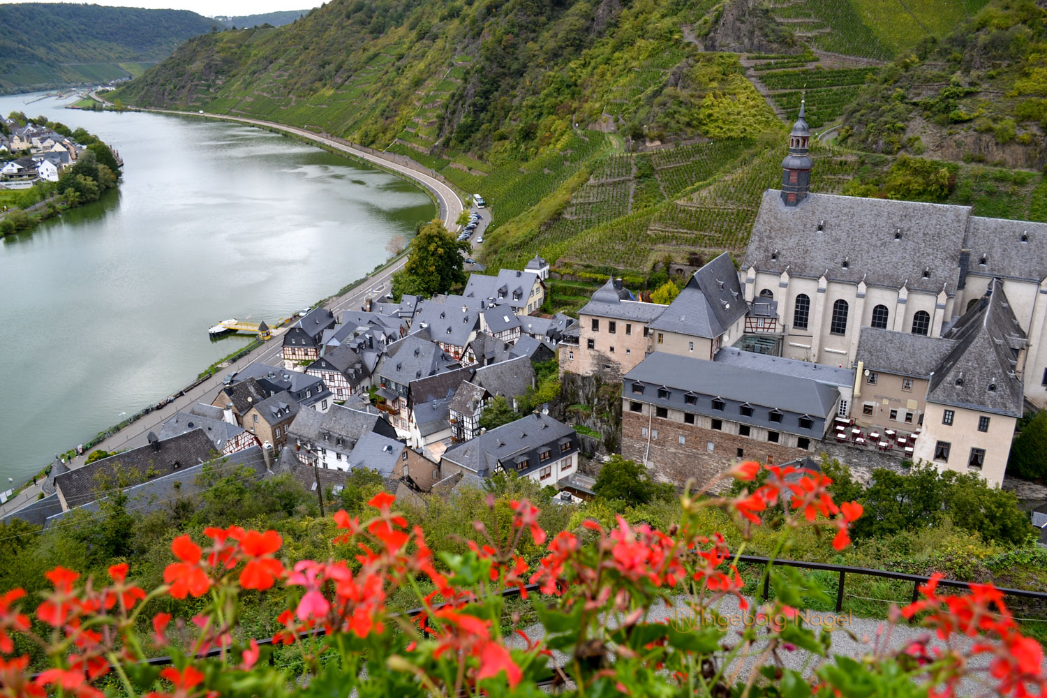 Burg Metternich an der Mosel 31 Beilstein an der Mosel
