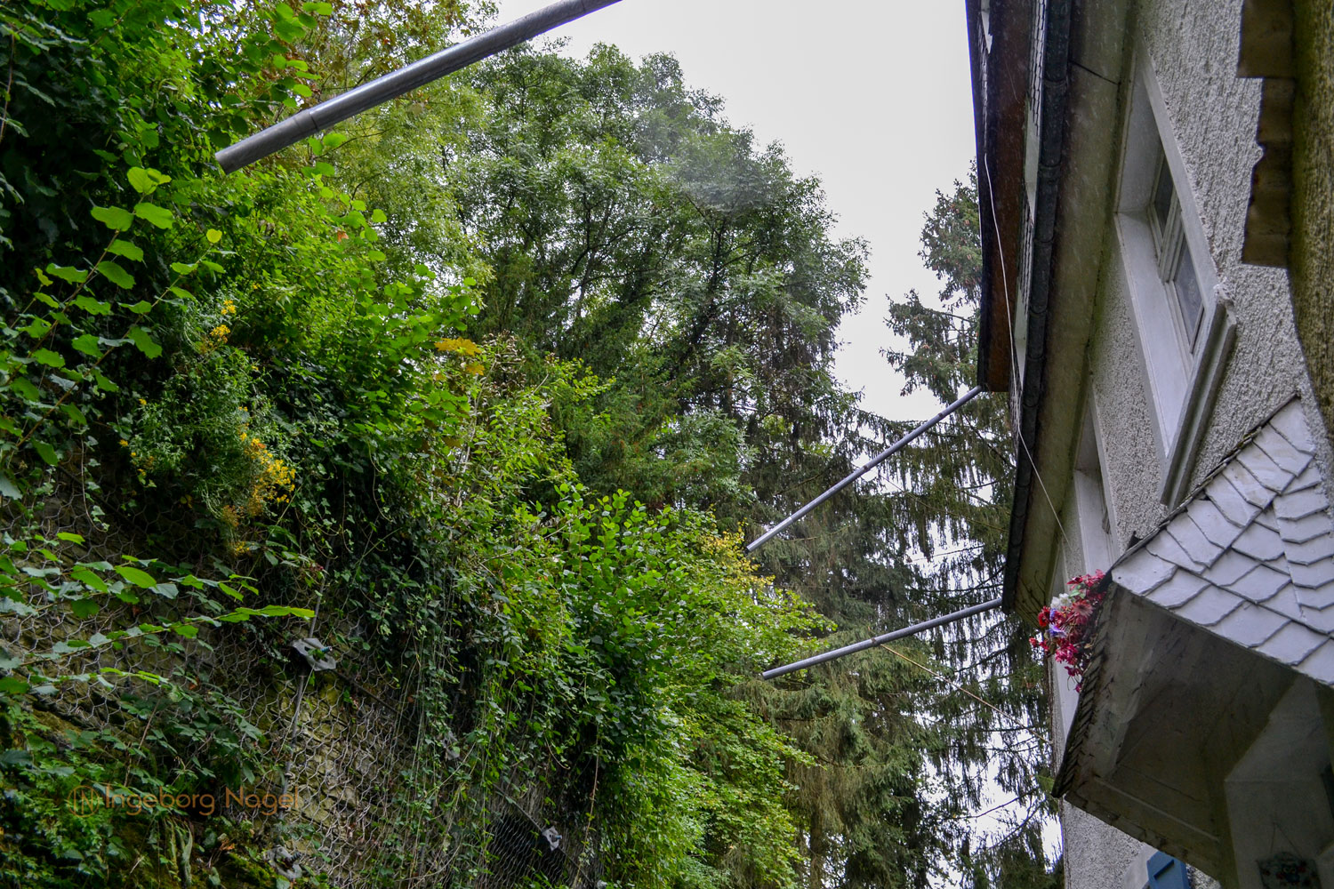 Traben-Trarbach - Teil 1 Stadtteil Trarbach 14 DSC_0561