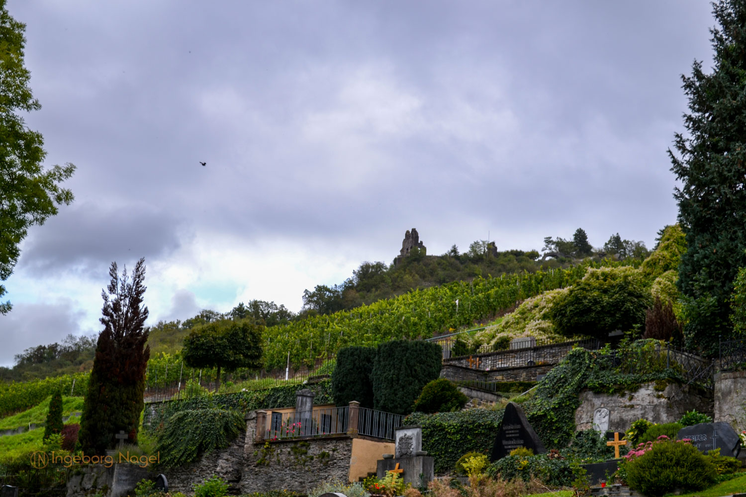 Traben-Trarbach - Teil 1 Stadtteil Trarbach 17 DSC_0585