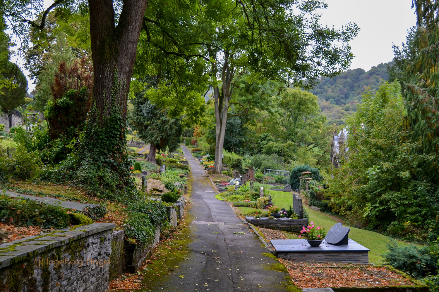 Traben-Trarbach - Teil 1 Stadtteil Trarbach 19 DSC_0586