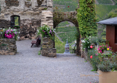 Burg Metternich an der Mosel 20 Burg Metternich über Beilstein an der Mosel