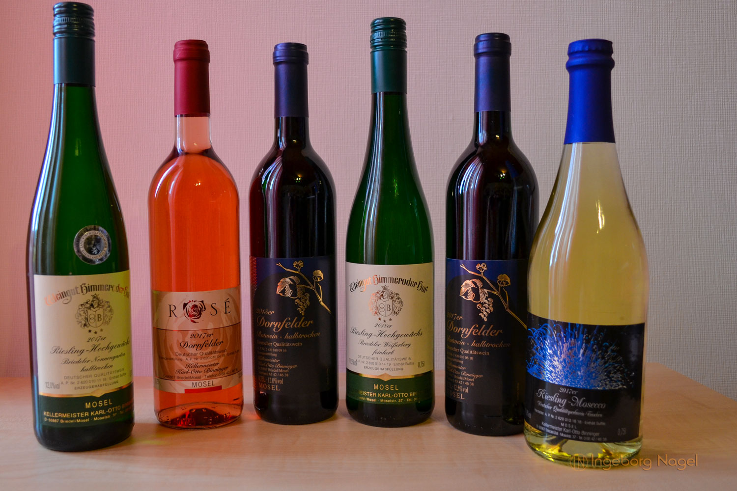 Hinter den Kulissen eines Winzerbetriebs 8 DSC_0595